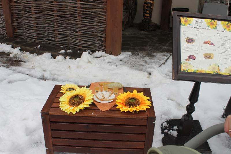 Два дня в Красной поляне