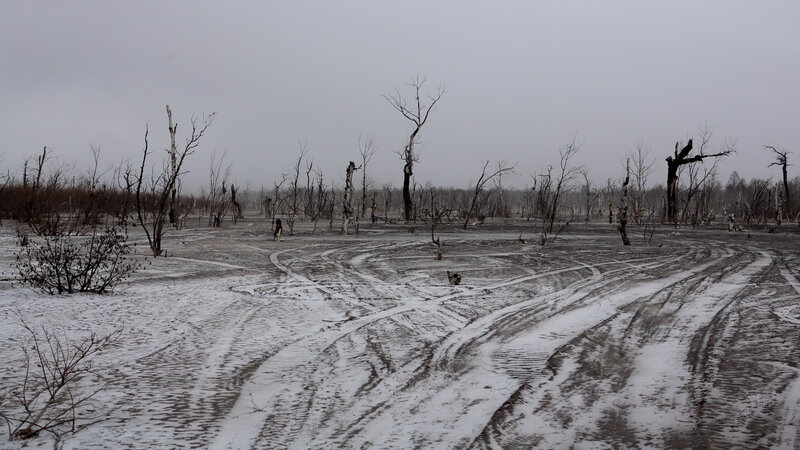 Камчатка. Извержение Ключевской сопки.